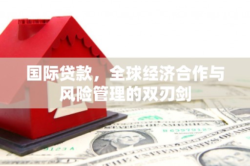 卫辉国际贷款，全球经济合作与风险管理的双刃剑
