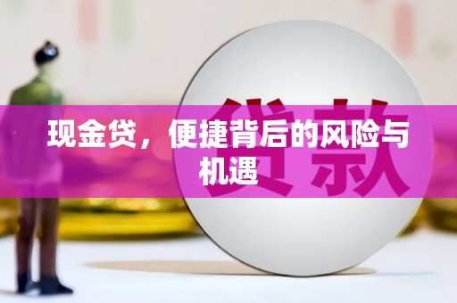 卫辉现金贷，便捷背后的风险与机遇