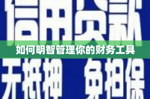 卫辉如何明智管理你的财务工具