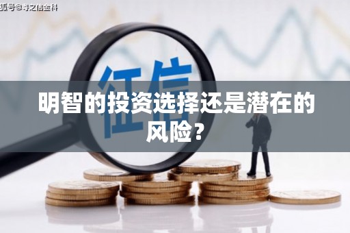 卫辉明智的投资选择还是潜在的风险？