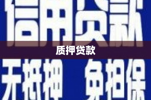 卫辉质押贷款