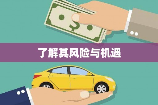 卫辉了解其风险与机遇