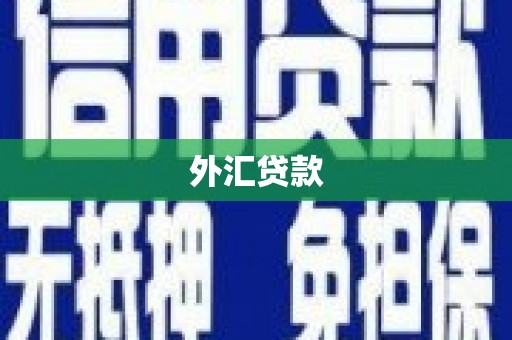 卫辉外汇贷款