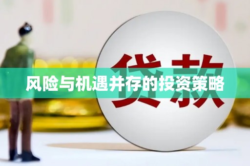 卫辉风险与机遇并存的投资策略
