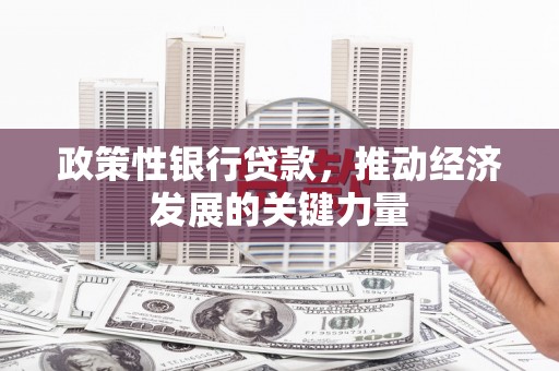 卫辉政策性银行贷款，推动经济发展的关键力量