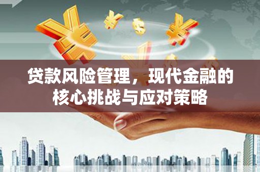 卫辉贷款风险管理，现代金融的核心挑战与应对策略