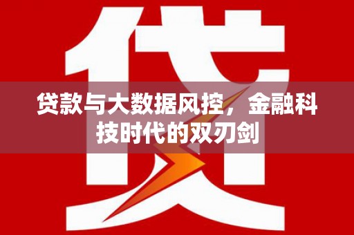 卫辉贷款与大数据风控，金融科技时代的双刃剑