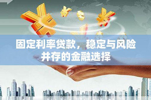 卫辉固定利率贷款，稳定与风险并存的金融选择