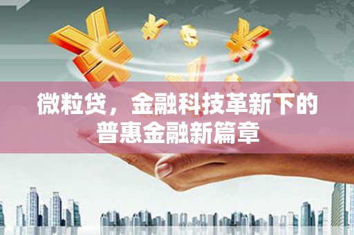 卫辉微粒贷，金融科技革新下的普惠金融新篇章