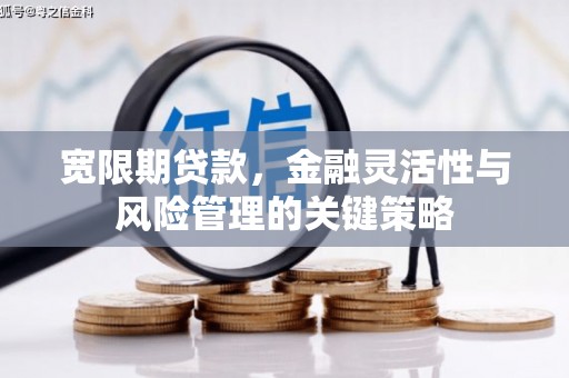 卫辉宽限期贷款，金融灵活性与风险管理的关键策略
