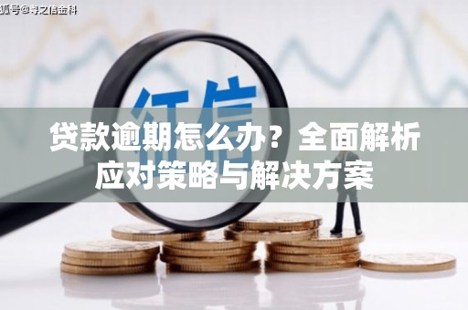 卫辉贷款逾期怎么办？全面解析应对策略与解决方案