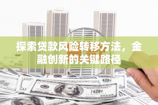 卫辉探索贷款风险转移方法，金融创新的关键路径