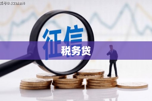 卫辉税务贷