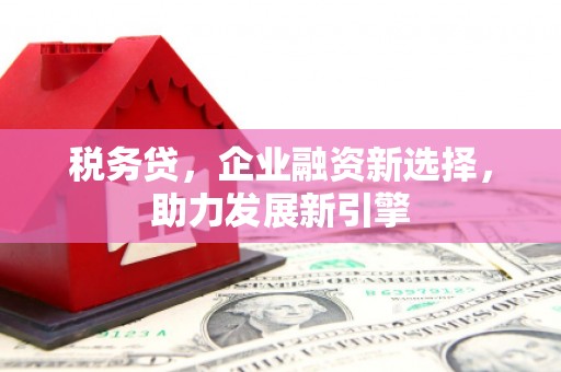 卫辉税务贷，企业融资新选择，助力发展新引擎