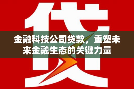 卫辉金融科技公司贷款，重塑未来金融生态的关键力量