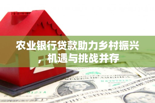 卫辉农业银行贷款助力乡村振兴，机遇与挑战并存