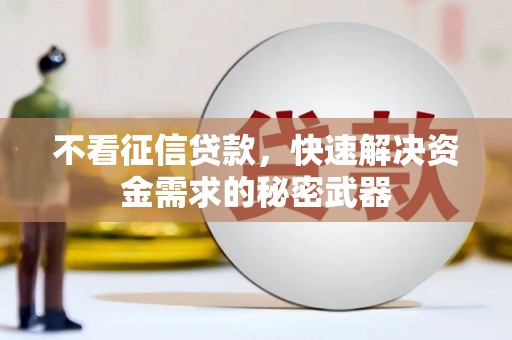 卫辉不看征信贷款，快速解决资金需求的秘密武器