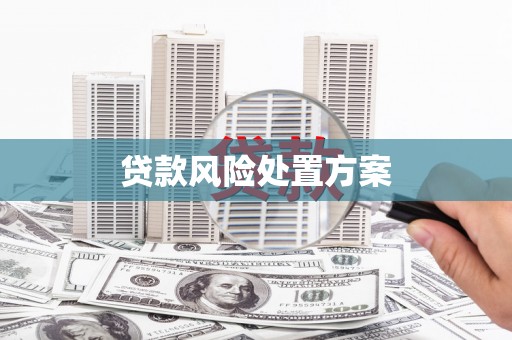 卫辉贷款风险处置方案