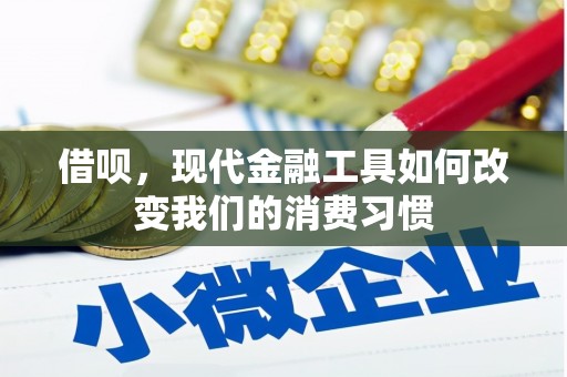 卫辉借呗，现代金融工具如何改变我们的消费习惯