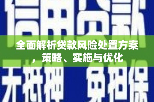 卫辉全面解析贷款风险处置方案，策略、实施与优化
