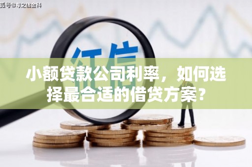 卫辉小额贷款公司利率，如何选择最合适的借贷方案？