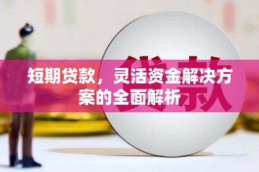 卫辉短期贷款，灵活资金解决方案的全面解析