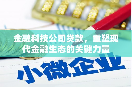 卫辉金融科技公司贷款，重塑现代金融生态的关键力量