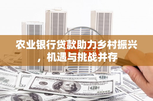 卫辉农业银行贷款助力乡村振兴，机遇与挑战并存