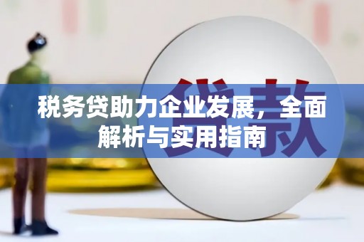 卫辉税务贷助力企业发展，全面解析与实用指南