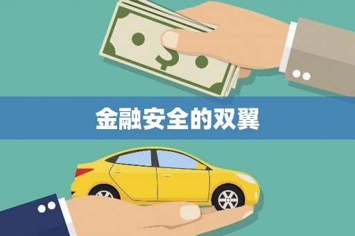 卫辉金融安全的双翼