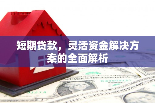 卫辉短期贷款，灵活资金解决方案的全面解析