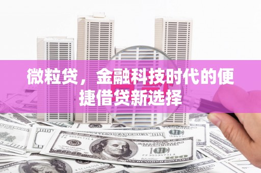 卫辉微粒贷，金融科技时代的便捷借贷新选择