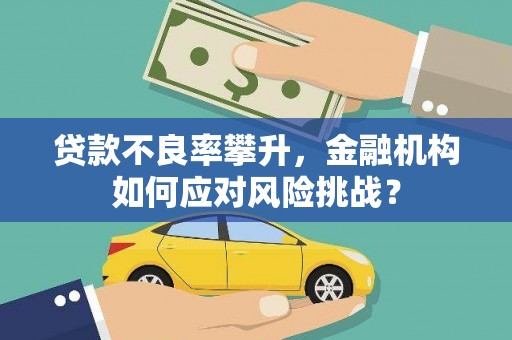 卫辉贷款不良率攀升，金融机构如何应对风险挑战？