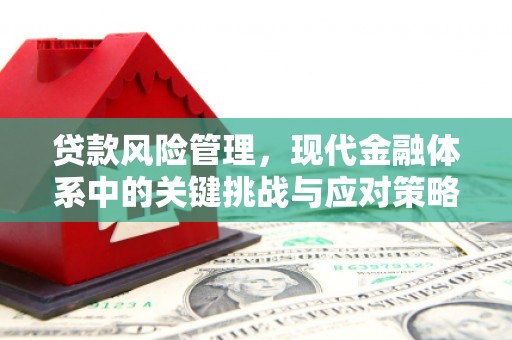 卫辉贷款风险管理，现代金融体系中的关键挑战与应对策略