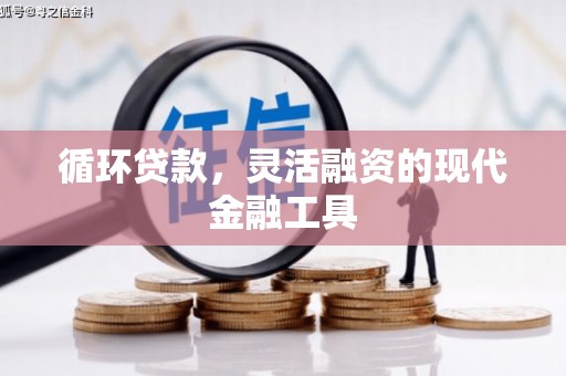 卫辉循环贷款，灵活融资的现代金融工具