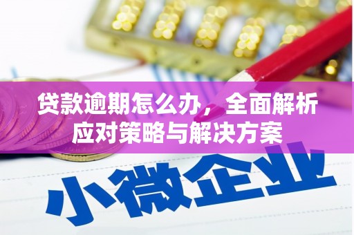 卫辉贷款逾期怎么办，全面解析应对策略与解决方案