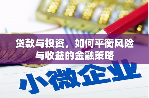 卫辉贷款与投资，如何平衡风险与收益的金融策略