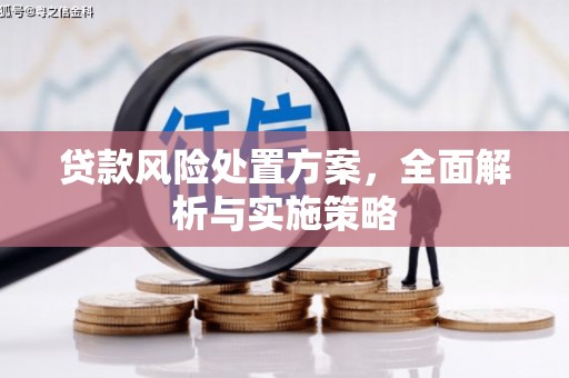 卫辉贷款风险处置方案，全面解析与实施策略